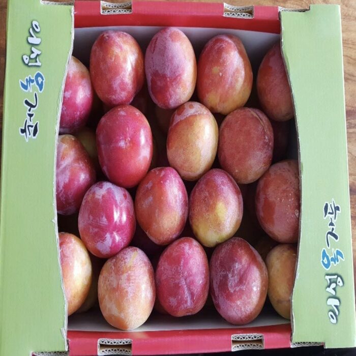 자두