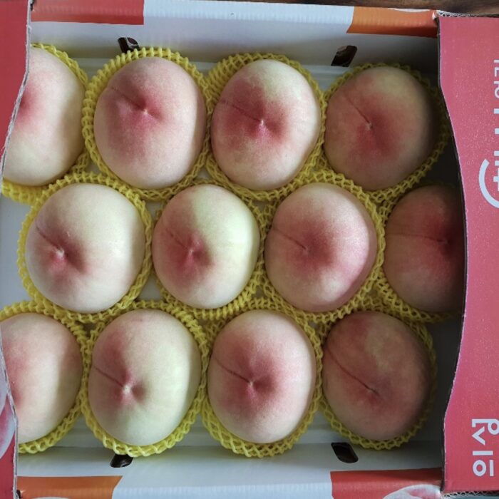 복숭아