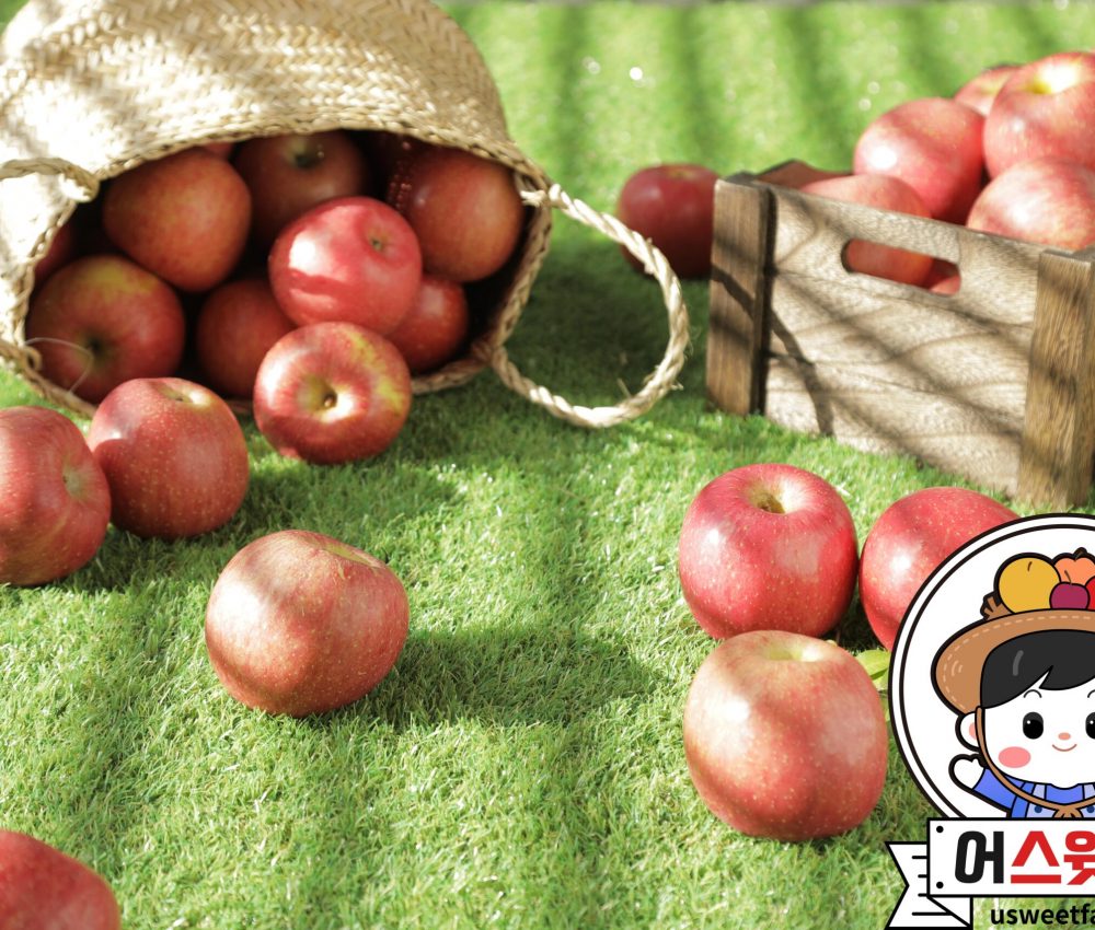 KakaoTalk_20221011_091644514_01