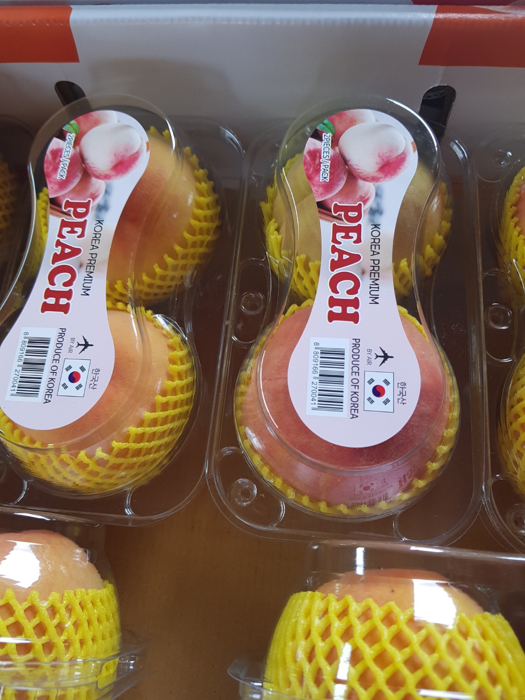 KakaoTalk_20221116_084802985_02.jpg