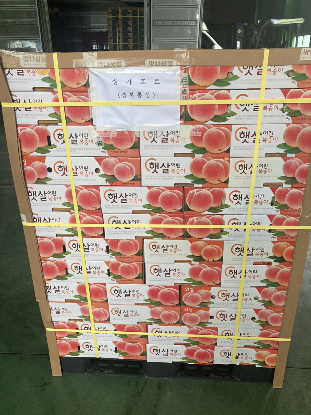 KakaoTalk_20221116_085224549.jpg